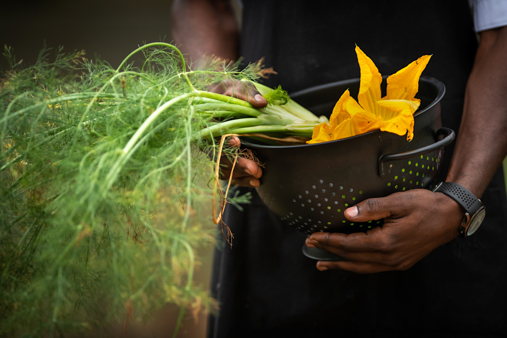 Our food journey seeks to nourish guests on many levels through sharing, learning and sheer joy