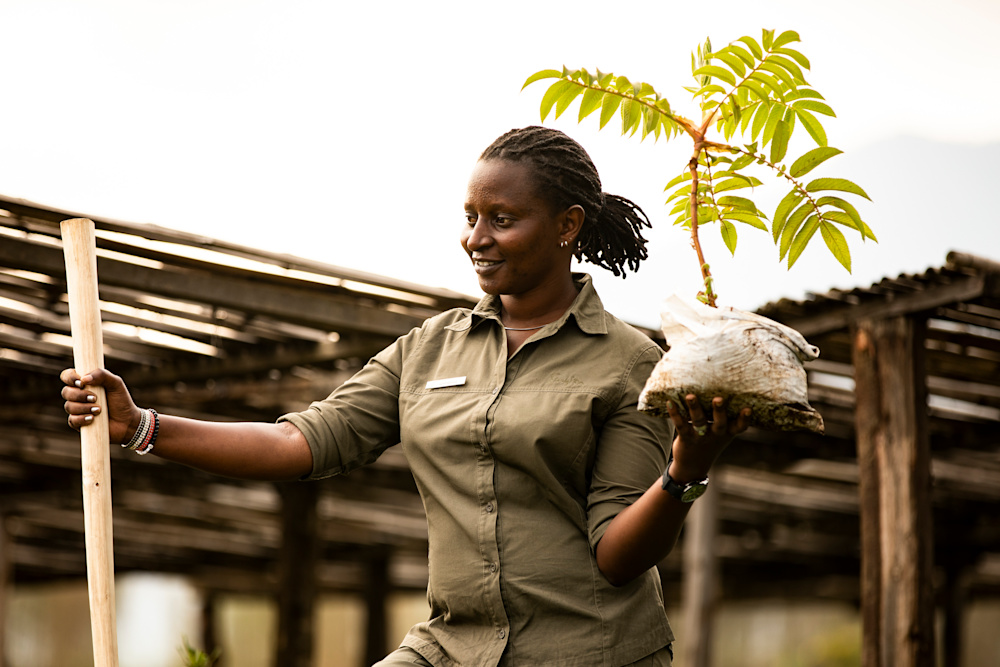 Our commitment to the UN's four ambitious goals to halt biodiversity loss and slow climate change see us revisiting our programmes to increase their efficacy