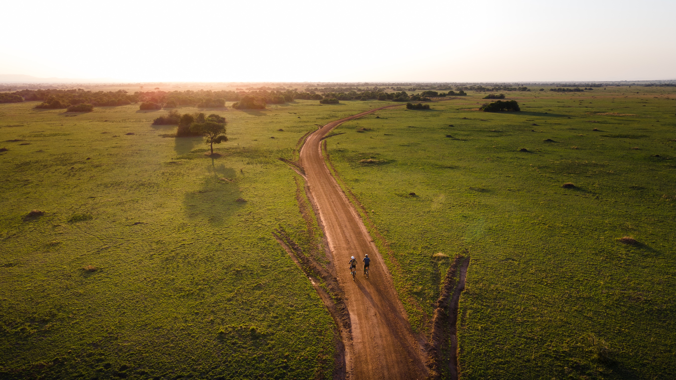 Purpose-led safaris