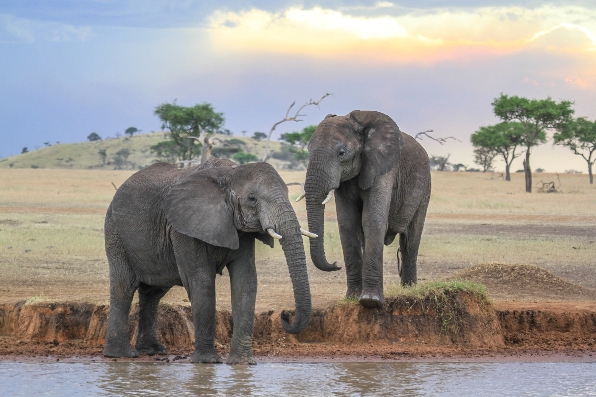 conservation practices at singita