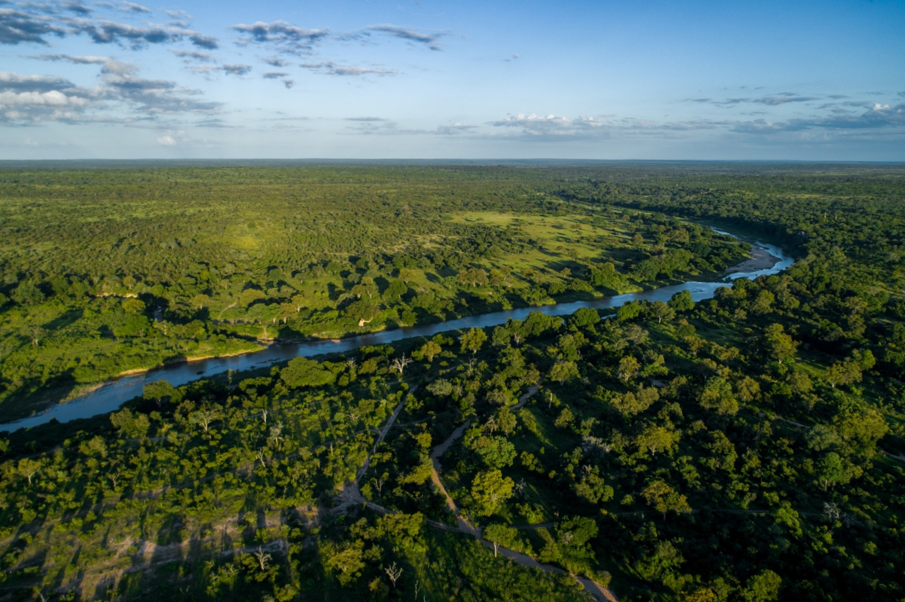 Sabi Sand River