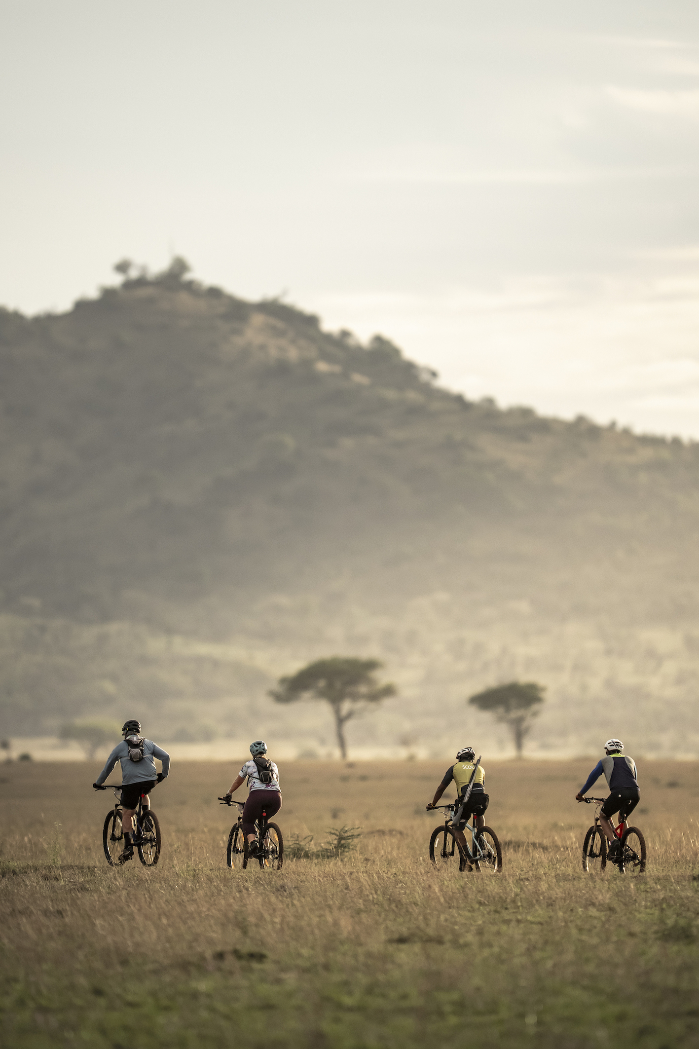 Conservation Wins 2025