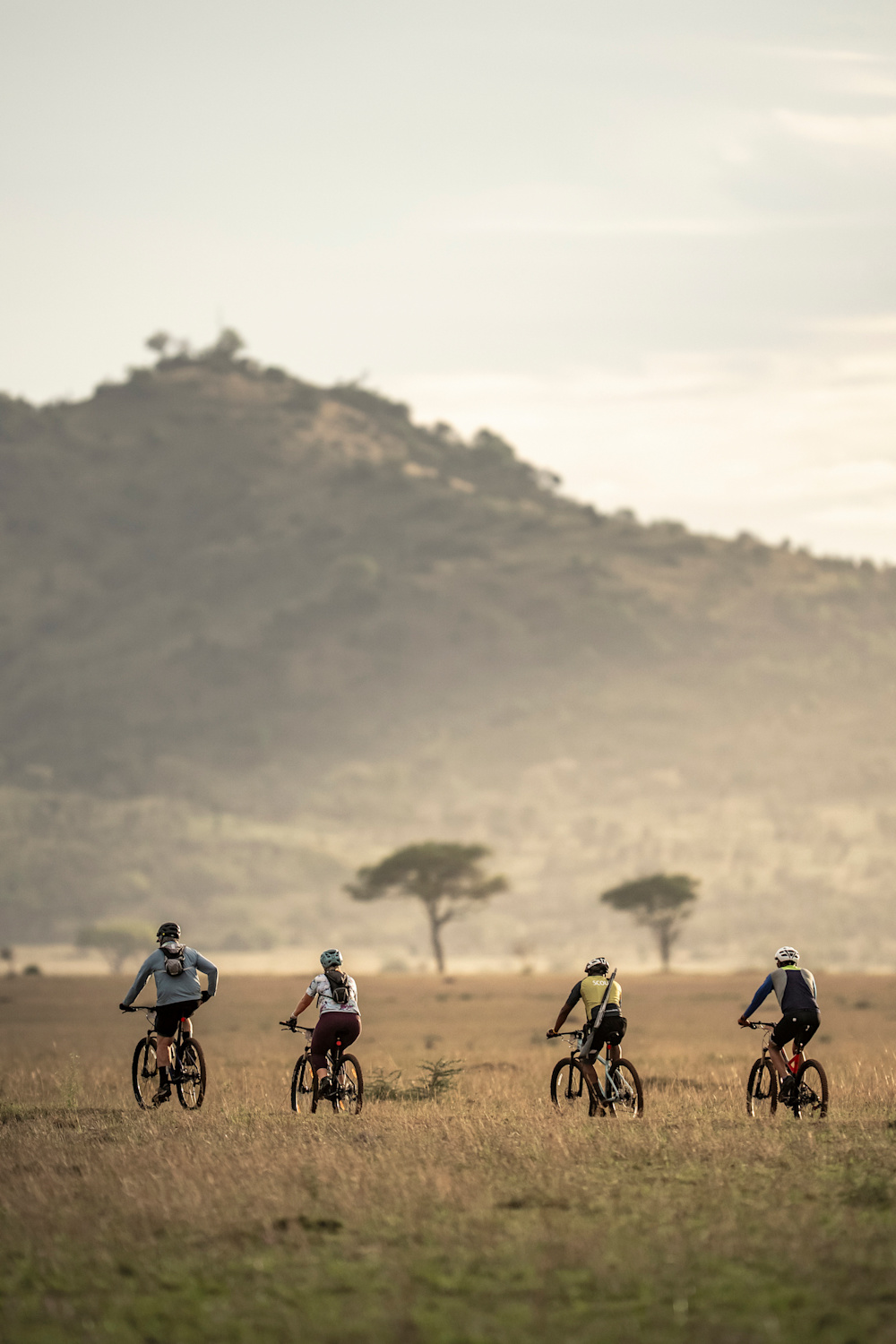 Conservation Wins 2025