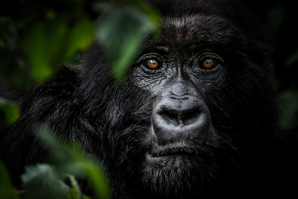 Don't forget that your phone camera is also a powerful tool to catch those moments where there's less warning