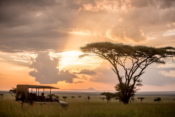 After sunset – the magic of twilight in the bush | Singita