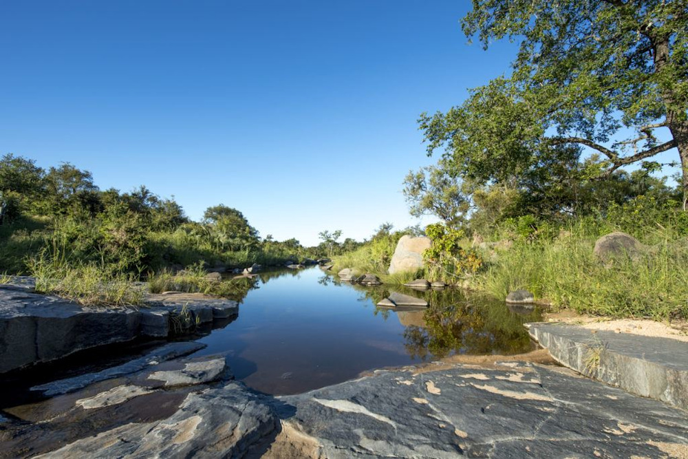 Charting the Waters at Singita Sabi Sand