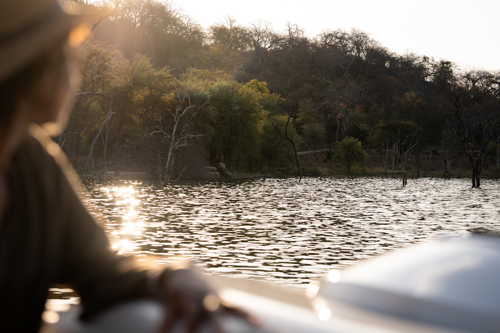 Ways to experience the bush