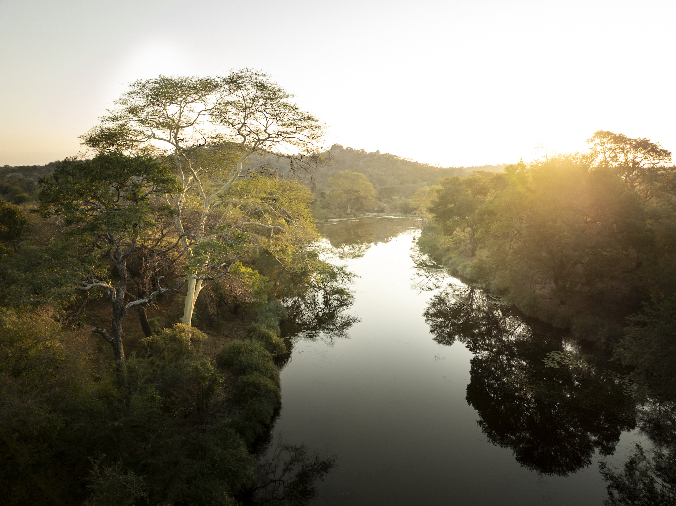 Guest Post Glen Keane