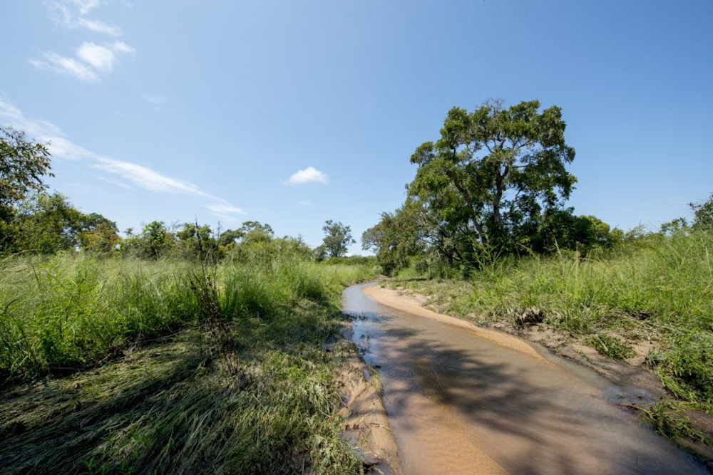 Charting the Waters at Singita Sabi Sand