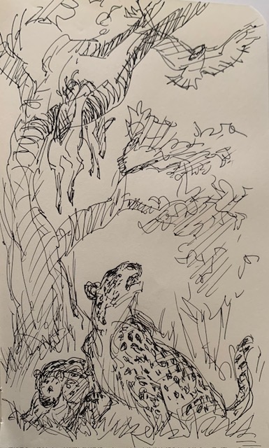 Guest Post Glen Keane