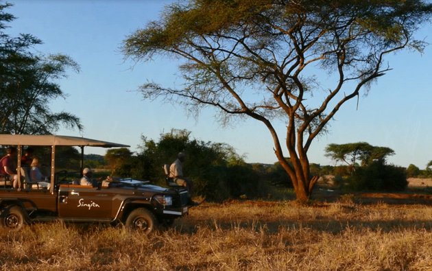 Bush Tales from Singita Pamushana, Zimbabwe