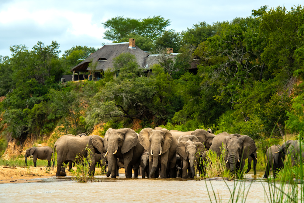 The diligent monitoring and efficient management of precious water resources is a priority at lodge and reserve level