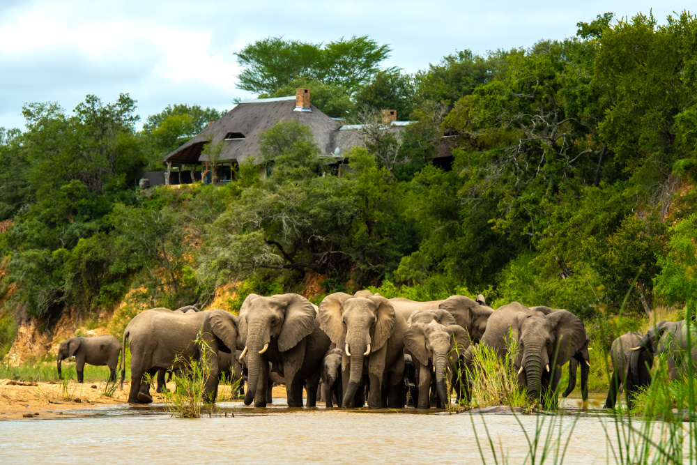 The diligent monitoring and efficient management of precious water resources is a priority at lodge and reserve level  