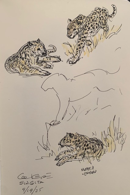 Guest Post Glen Keane