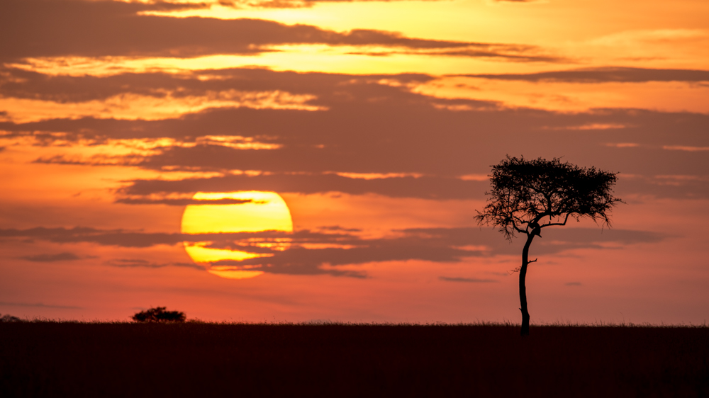 The iconic plains, spectacular sunsets and unspoilt beauty of Singita Grumeti make it a bucket-list family destination