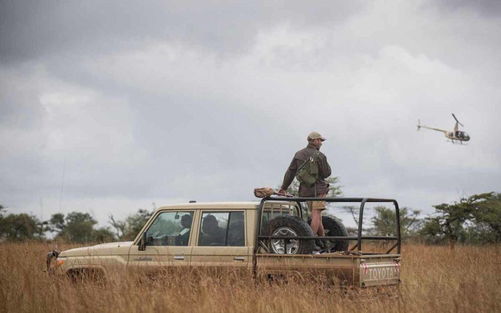 Proactive Conservation: The Singita Grumeti Elephant Collaring Project