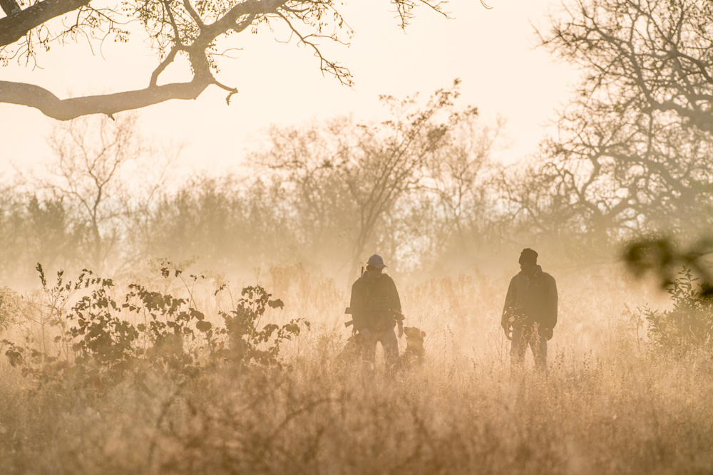 Teams on the ground patrol the reserve daily, safeguarding the wildlife within its borders