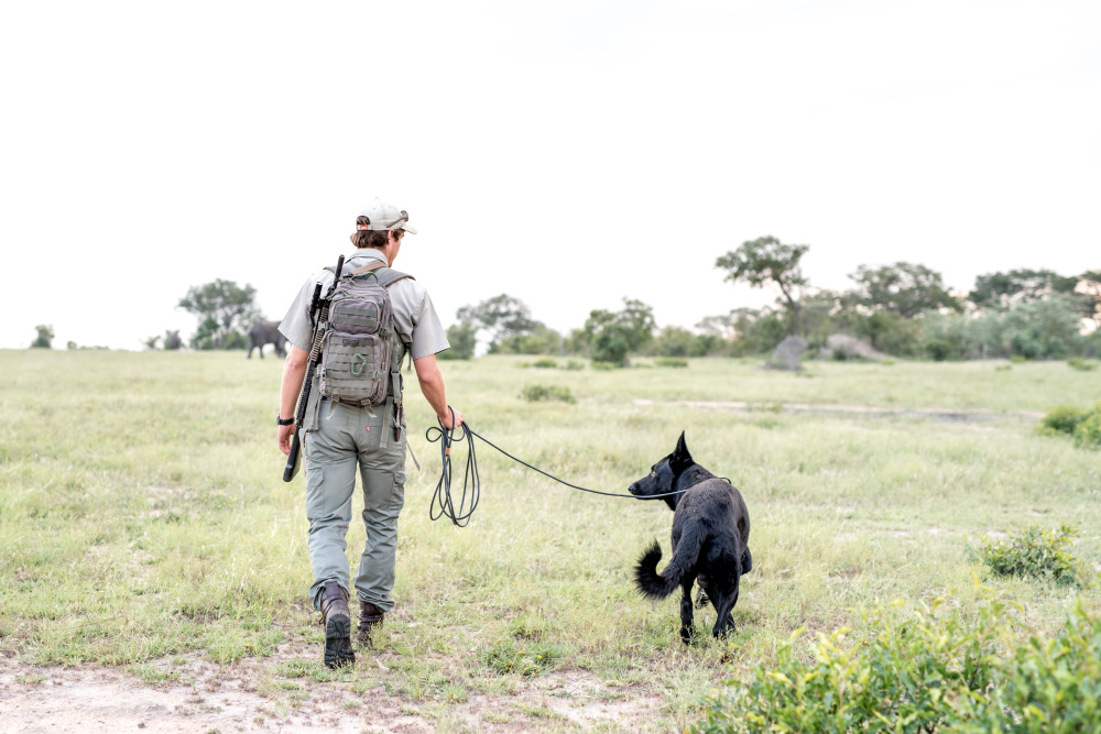 The lack of poaching incidents in our areas is testament to the immense dedication and commitment of the APU teams, during a time of increasing pressure