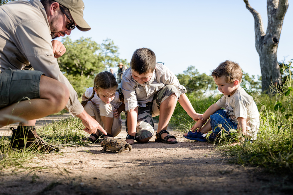 The Mini Game Rangers' Course offers young explorers the chance to learn new skills in nature's abundant classroom