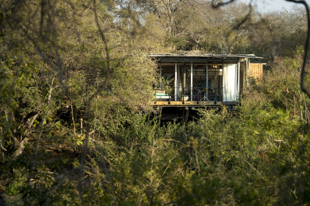 Singita Sweni Lodge offers an immersive experience of the unique Kruger National Park landscape, overlooking the river and surrounded by trees