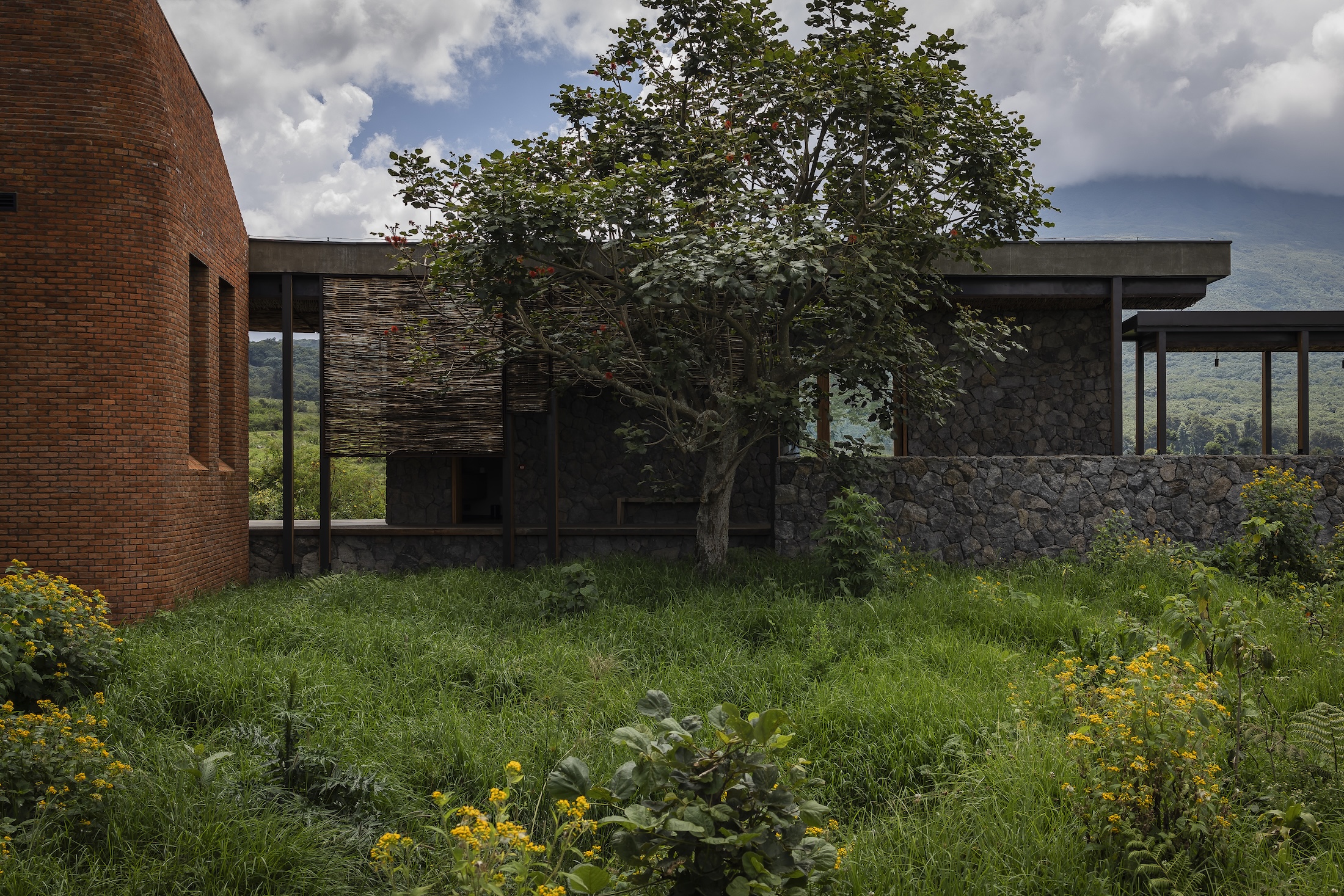 Rewilding Rwanda