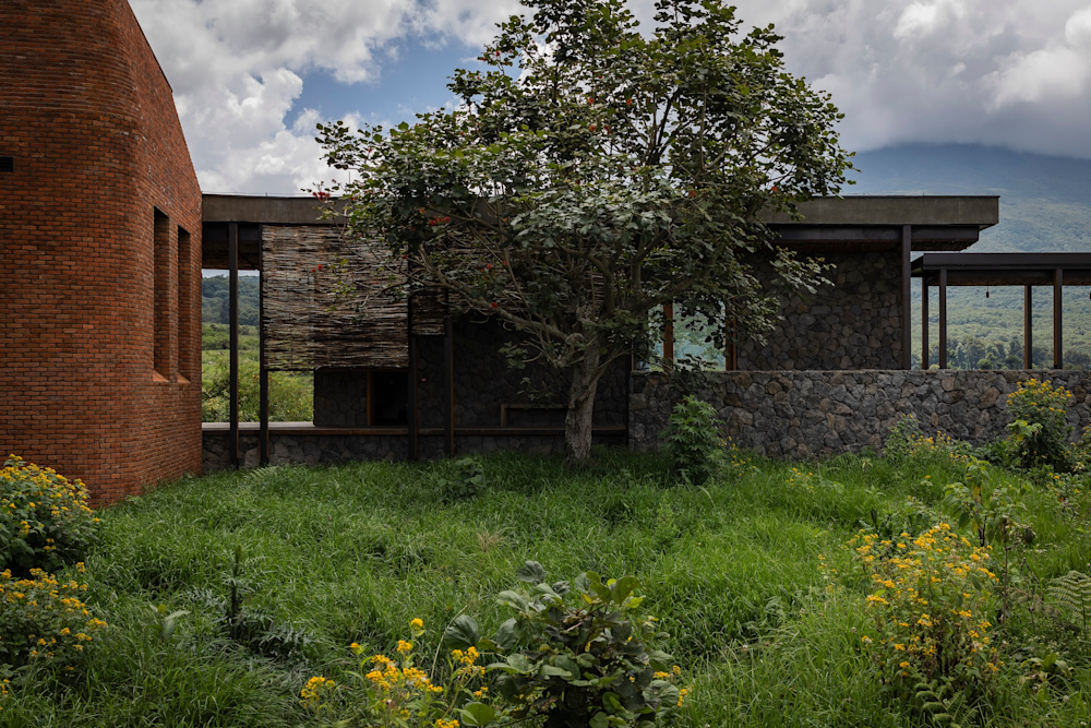 Rewilding Rwanda