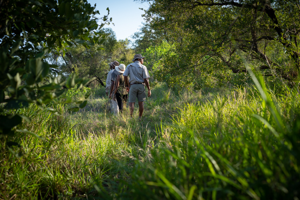 Spending time immersed in the wilderness has boundless physical, mental and emotional benefits