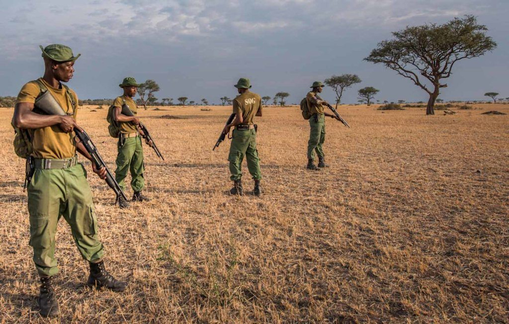 Meet Singita's Elite Anti-Poaching Task Force