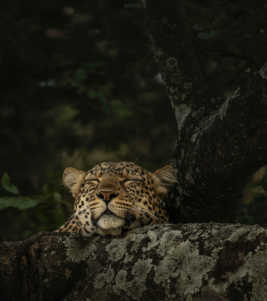 Mara Lounge Interior