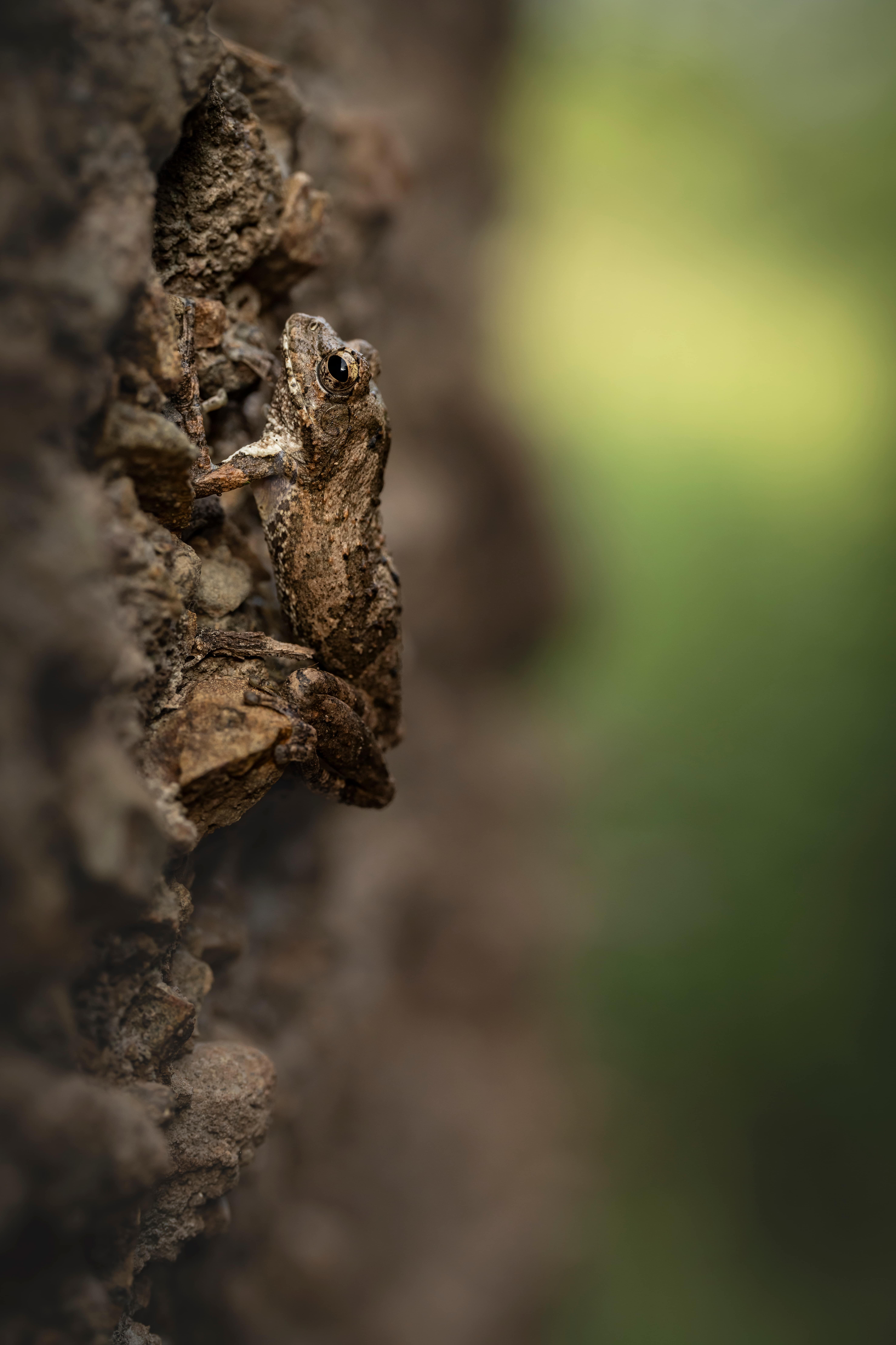 Communal areas offering immersive and meditative spaces