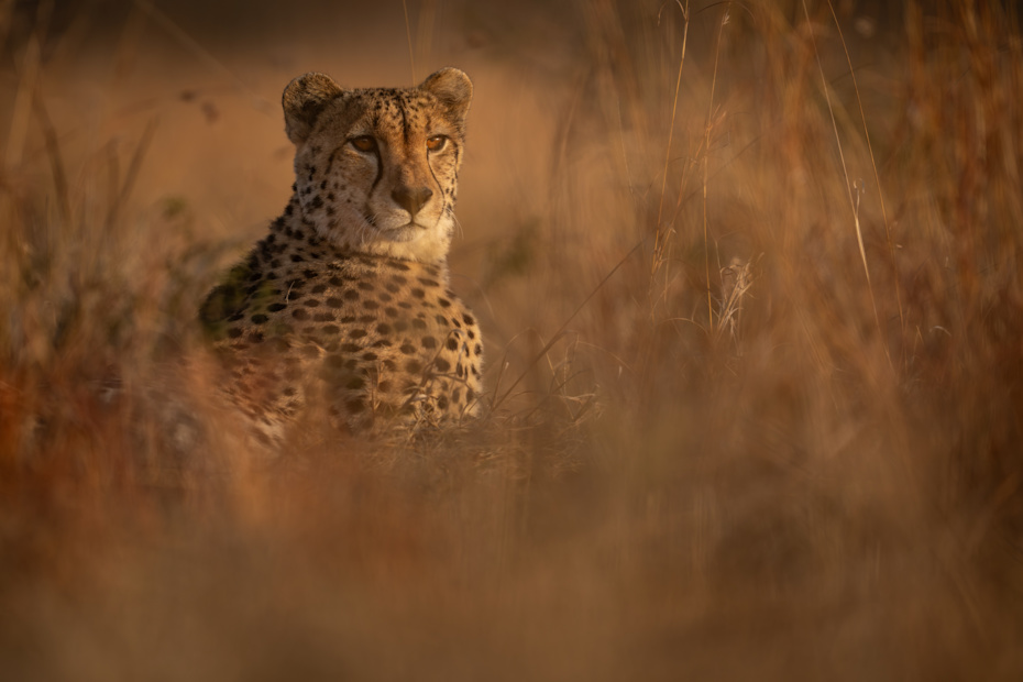 Communal areas offering immersive and meditative spaces