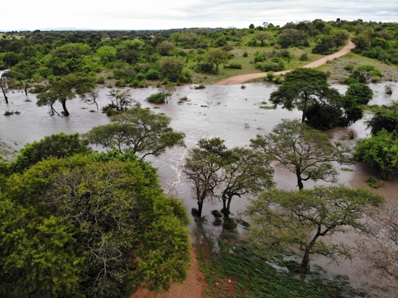 April Rains | Singita