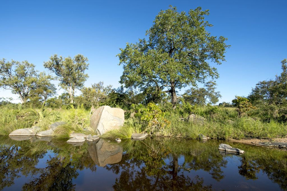 Charting the Waters at Singita Sabi Sand