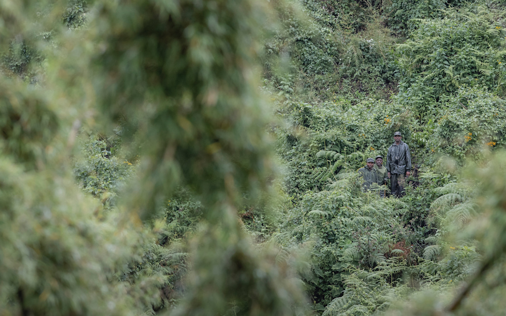 The protection of Africa's unique wilderness areas spans some of the commitments we've made in pursuit of our UN-aligned goals