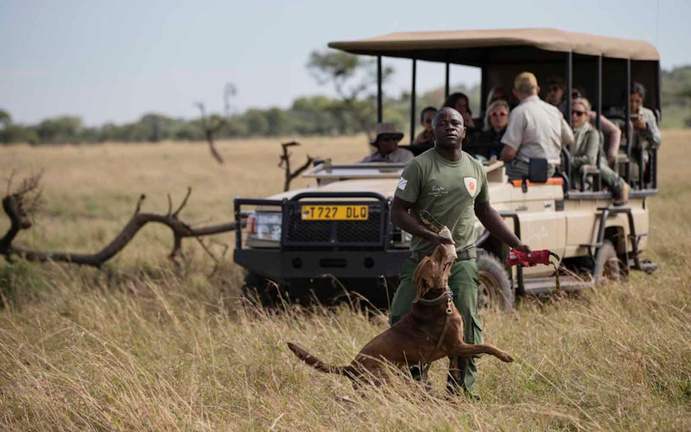 The Serengeti Girls Run: Striving Towards a Common Goal