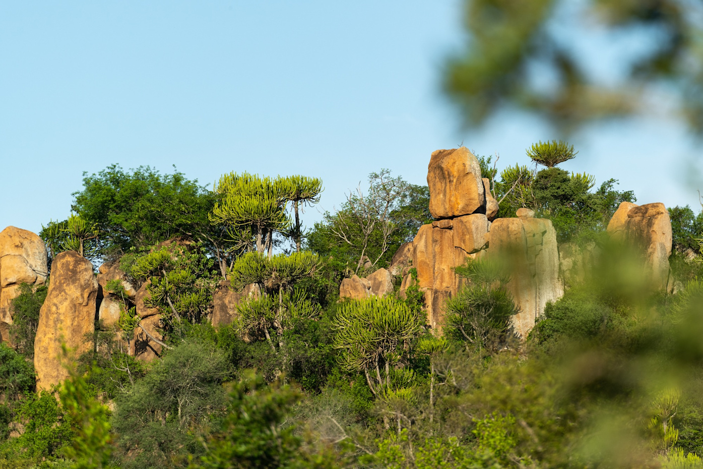 Lebombo Luxury Villa & Safari | Kruger National Park | Singita