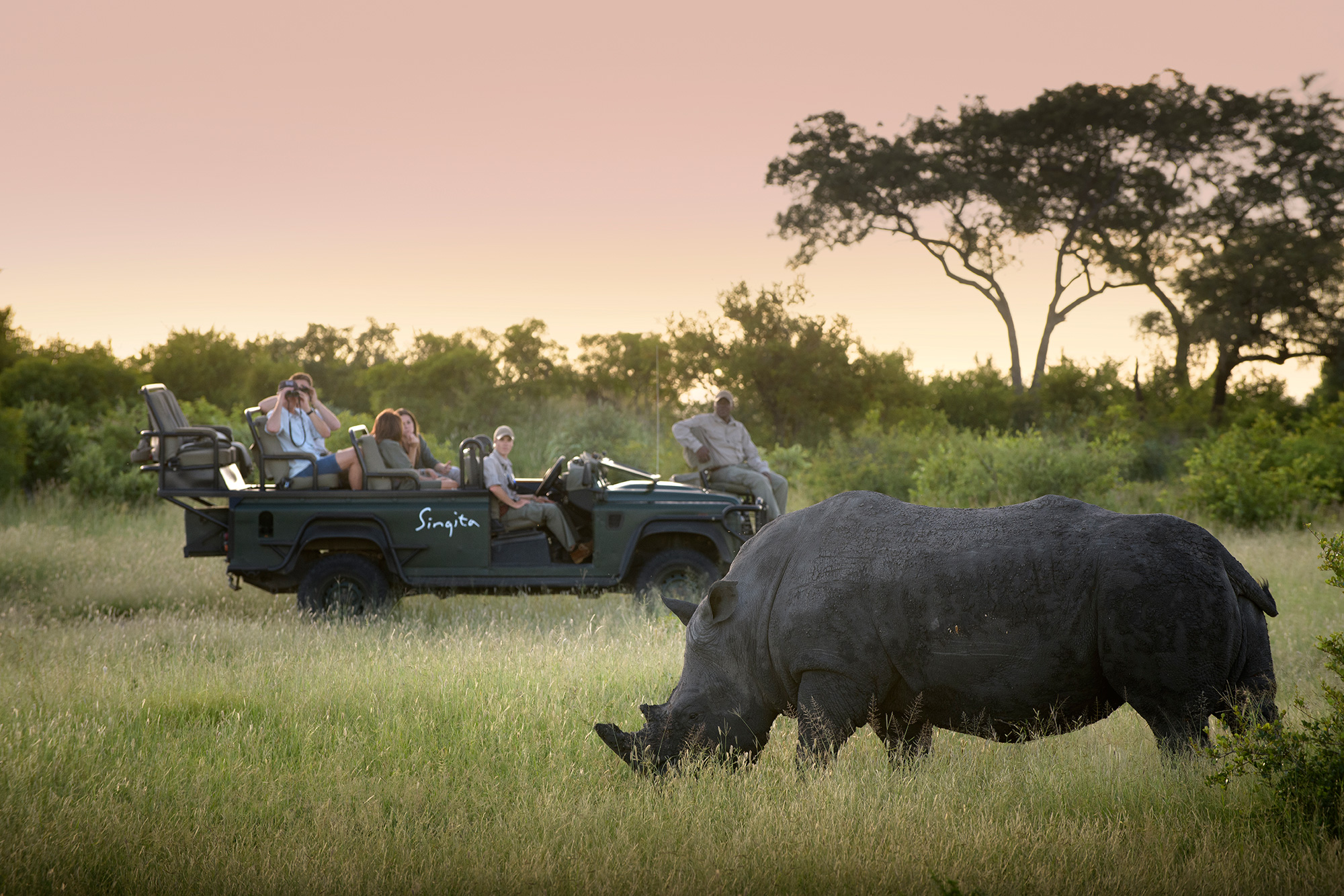 Unforgettable wildlife encounters guided by world-class professional safari trackers