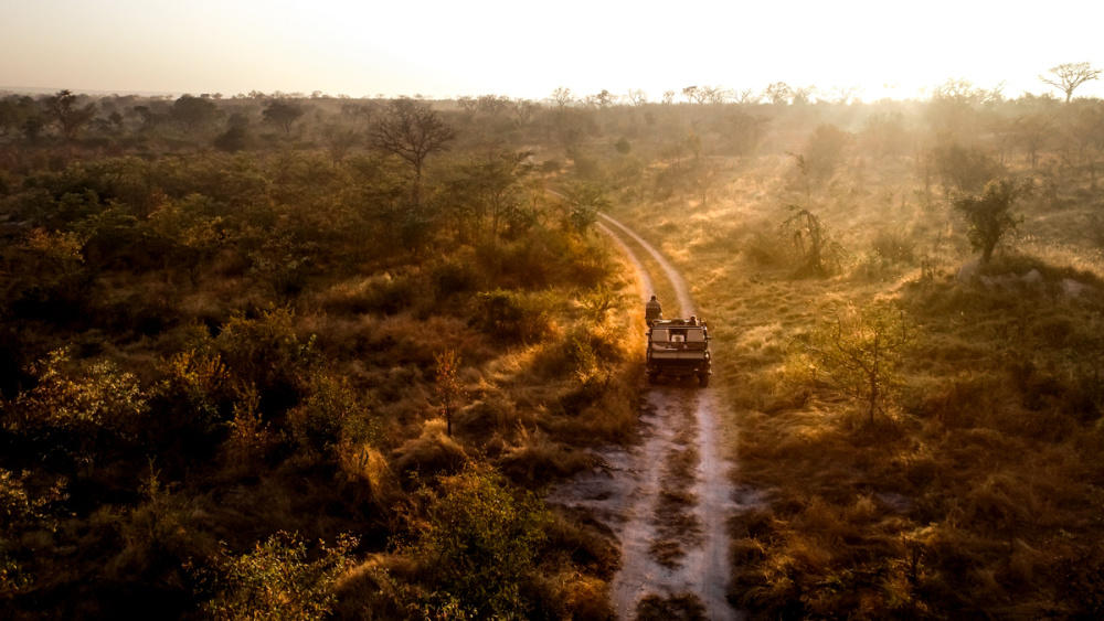 Game drives and guided bush walks give guests the opportunity to discover the wilderness and the knowledge and expertise of our Field Guides and Trackers is  instrumental in creating an unforgettable experience 