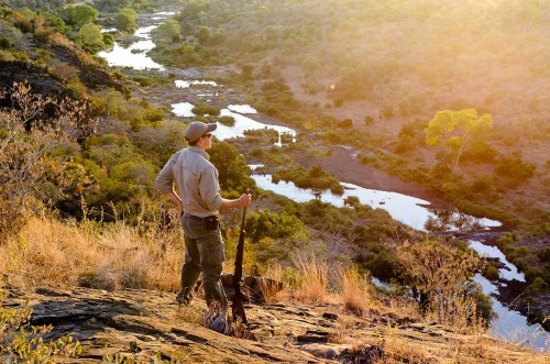 Singita Sabi Sand landscape