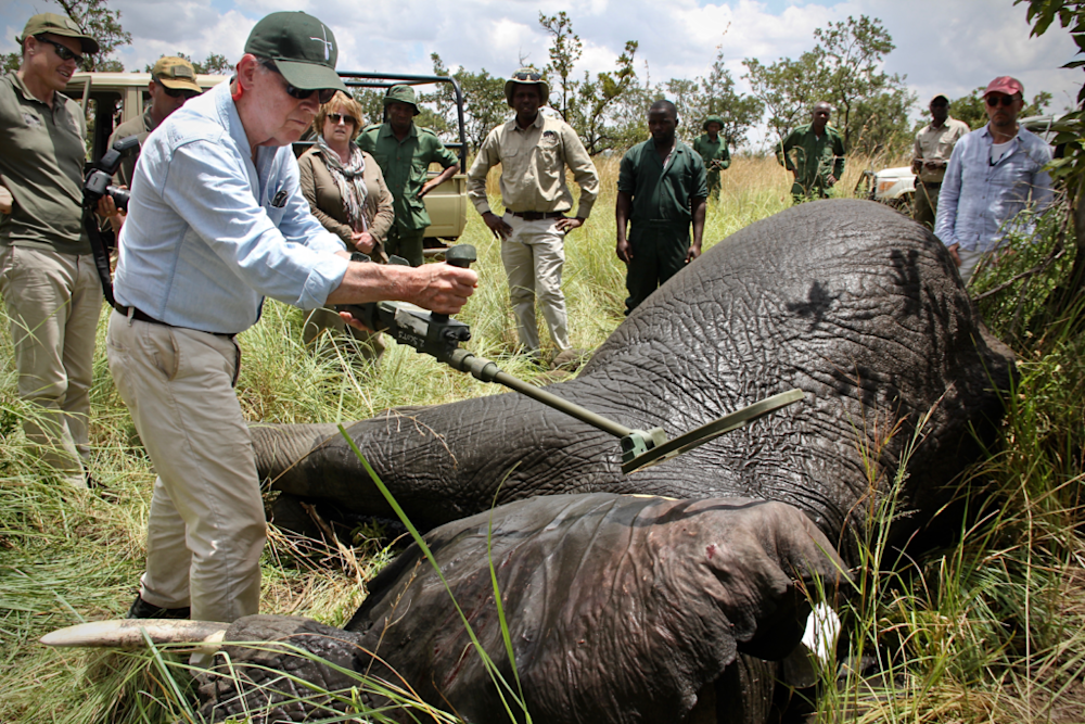 Funding a 100-Year Conservation Vision Through Sustainable Tourism