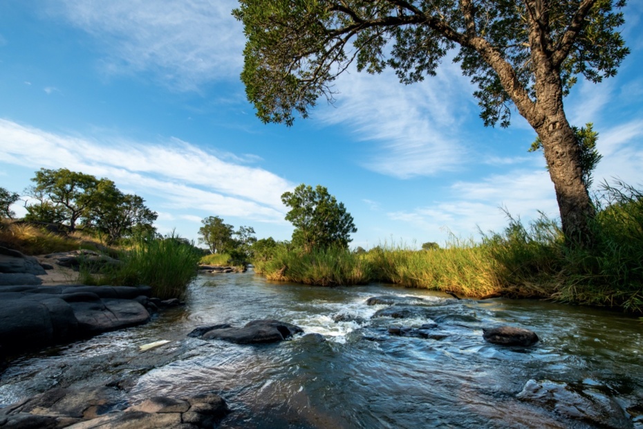 Flowing river