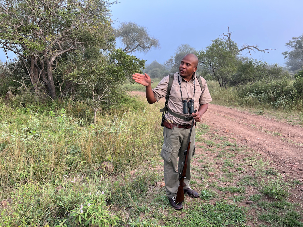 Alex was accompanied by Field Guide Evidence Nkuna, whose intimate knowledge of the area and terrain made the walk all the richer