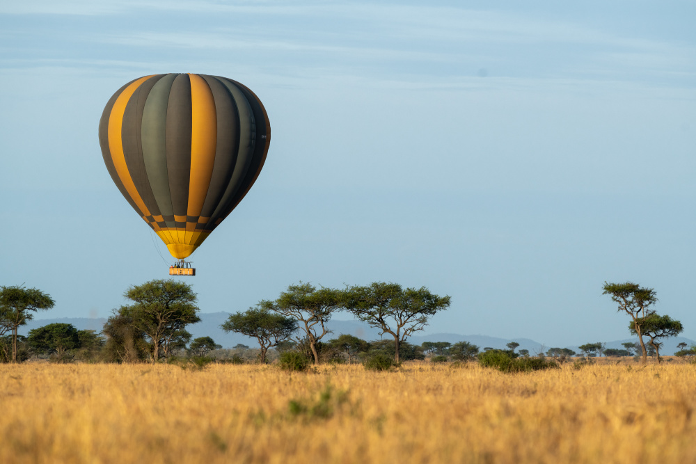 Tailor made itineraries make for unforgettable memories in one of Africa's most remarkable settings  