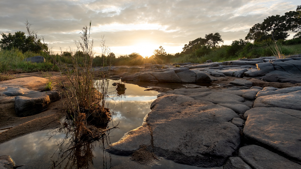 Daniel Hartmann post