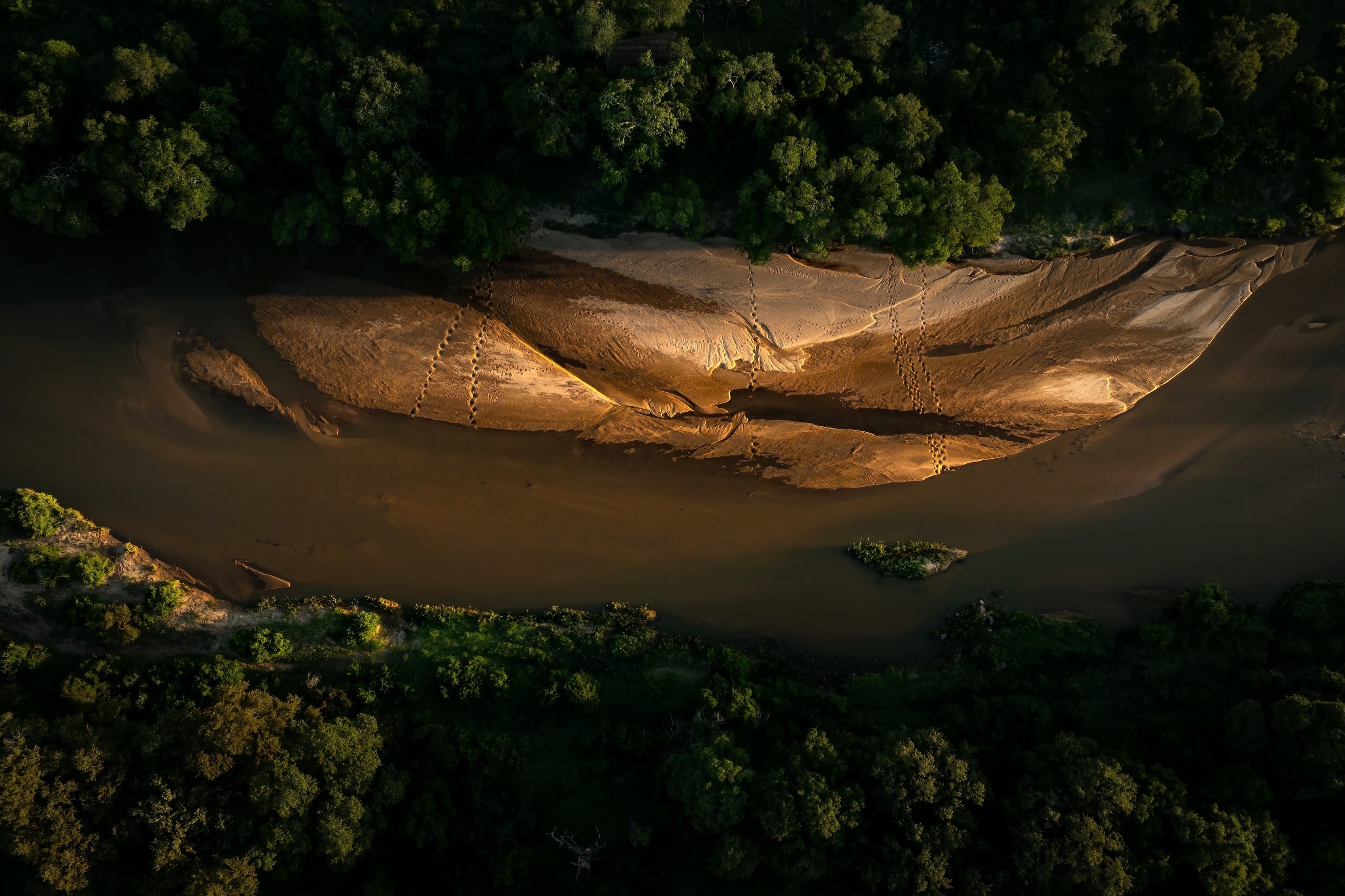 Daniel Hartmann post