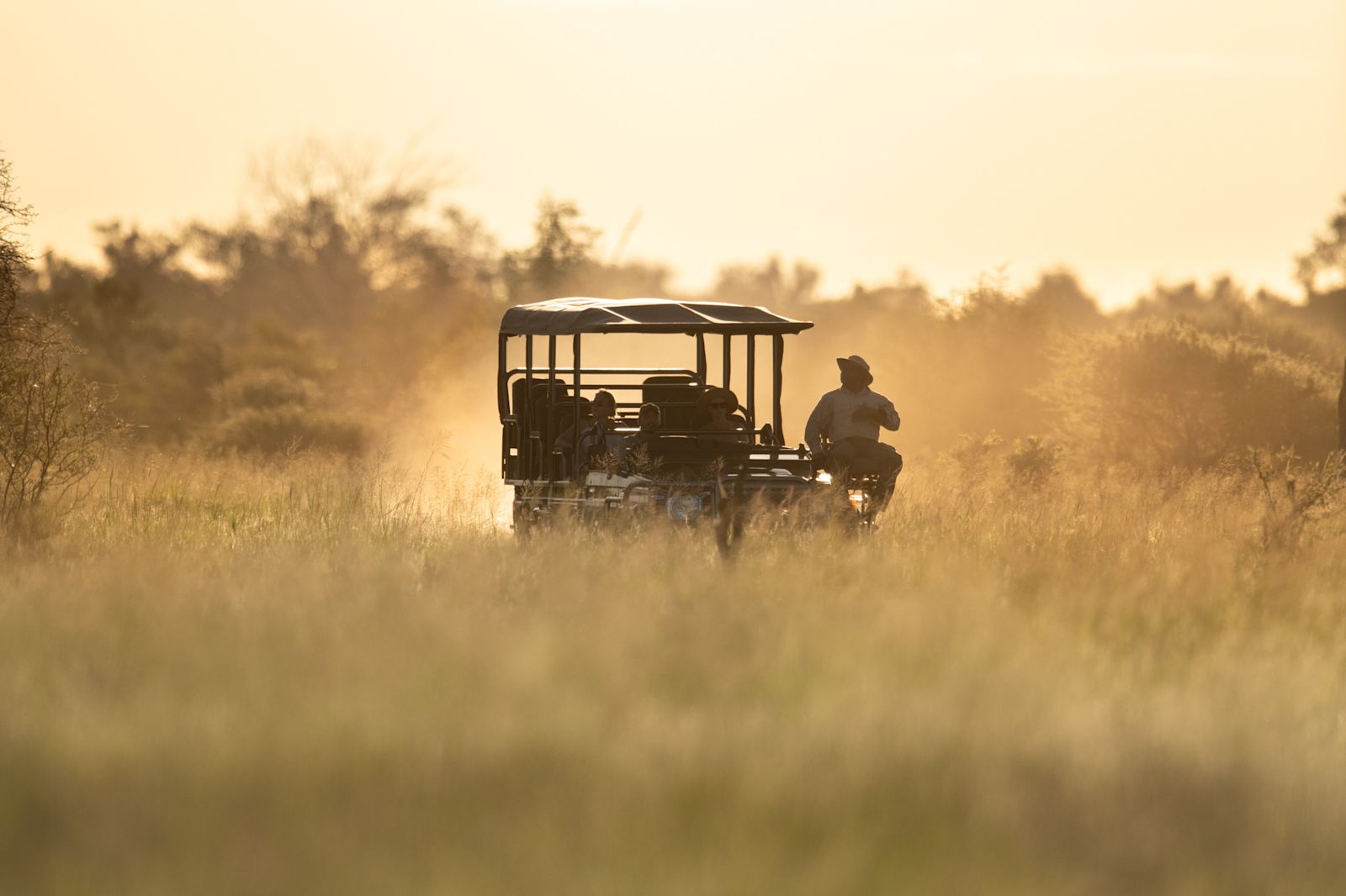 Open game vehicle crossing golden grassland in the N'wanetsi Concession
