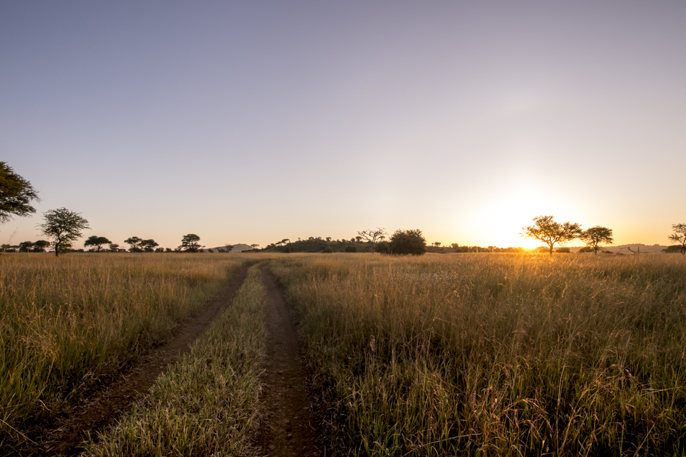 Ways to experience the bush