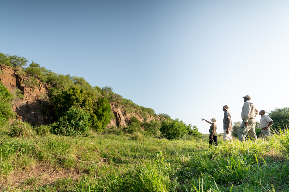 Our expert Field Guides' expertise ensures a safe and enriching experience learning about the intricacies of nature