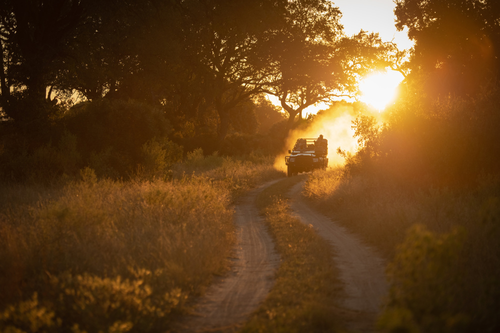 A leisurely approach to game drives - where you and your Field Guide may be the sole observers of a sighting - make for an unforgettable bush experience