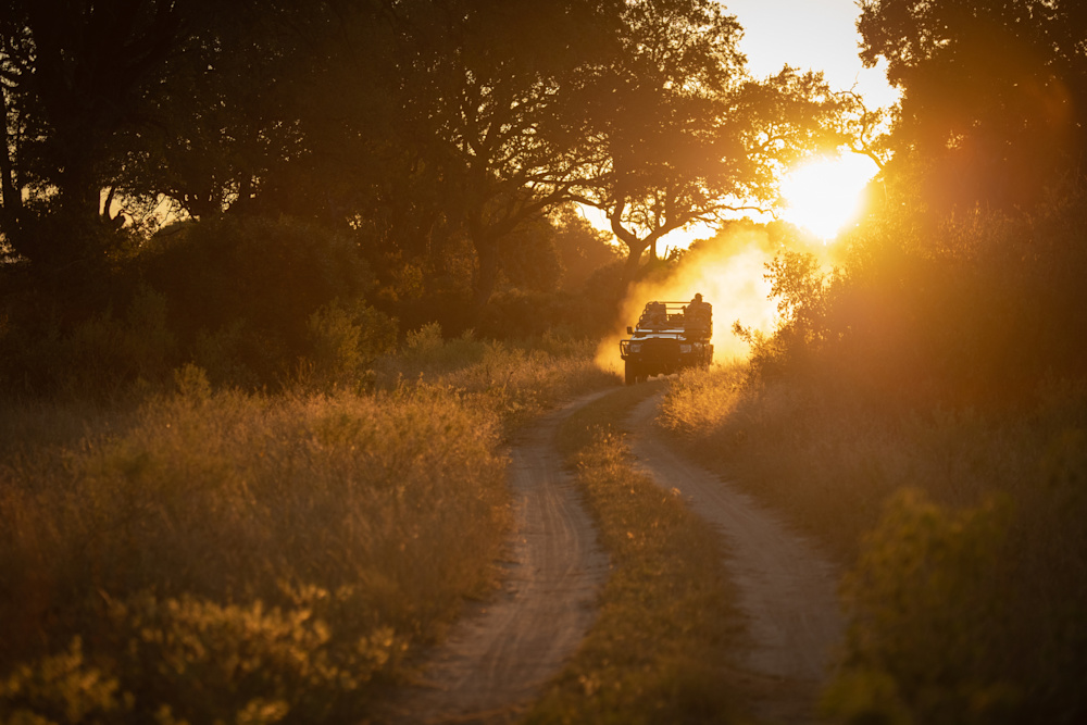 A leisurely approach to game drives - where you and your Field Guide may be the sole observers of a sighting - make for an unforgettable bush experience